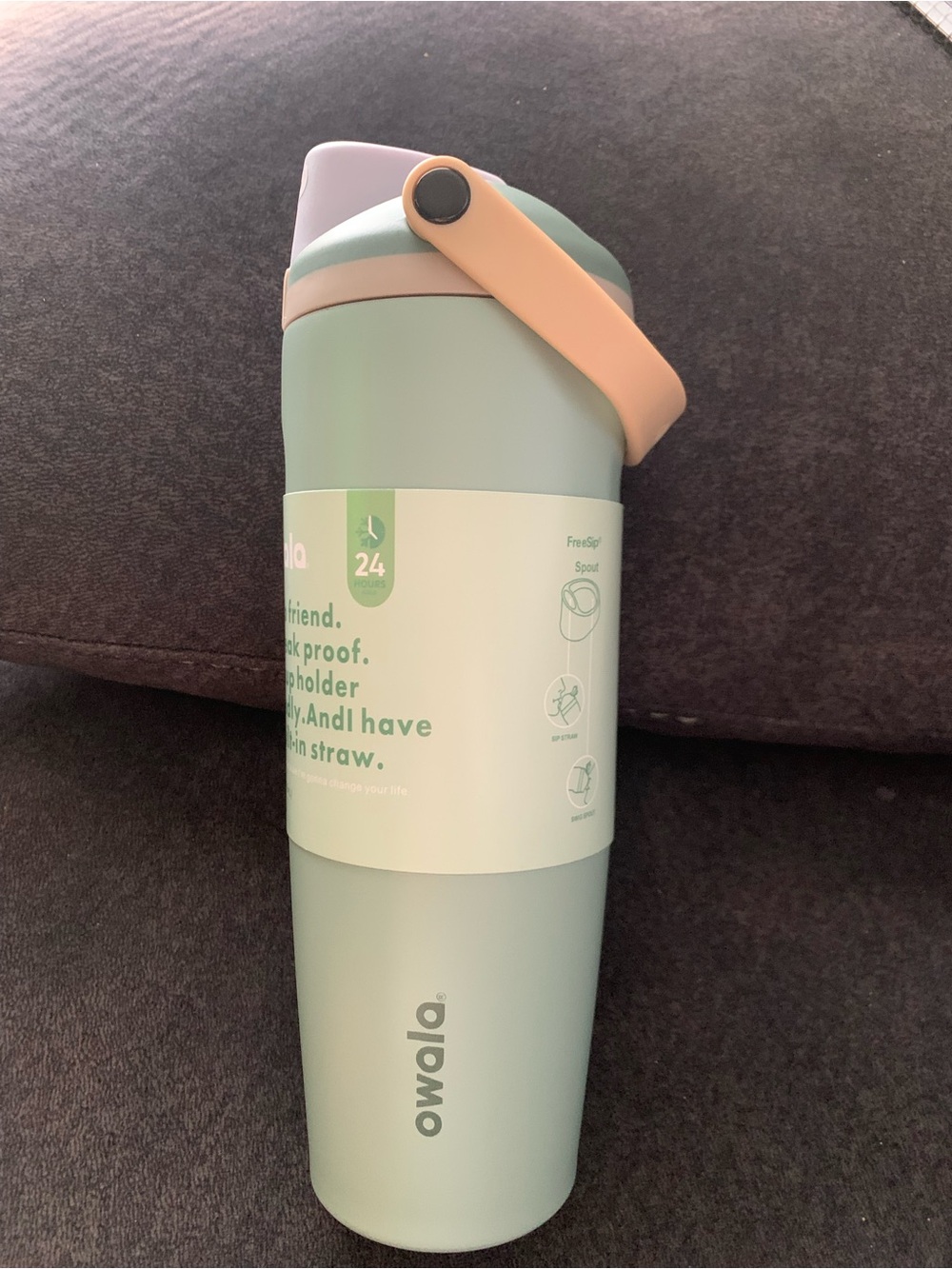 Owala 30 fl oz Stainless Steel FreeSip Sway - Eucalyptus